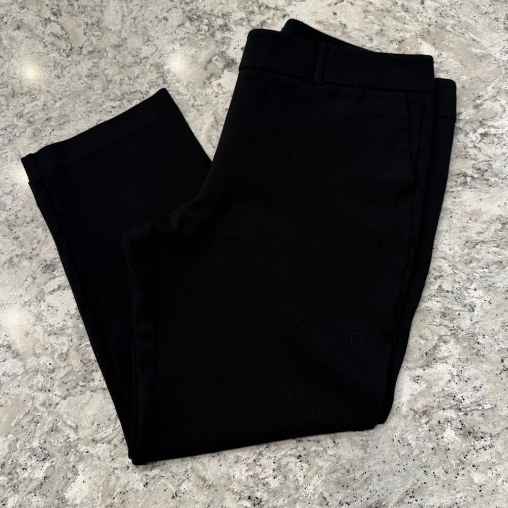 EUC Ann Taylor Factory Petite black flat front trousers, size 14P - Picture 1 of 4